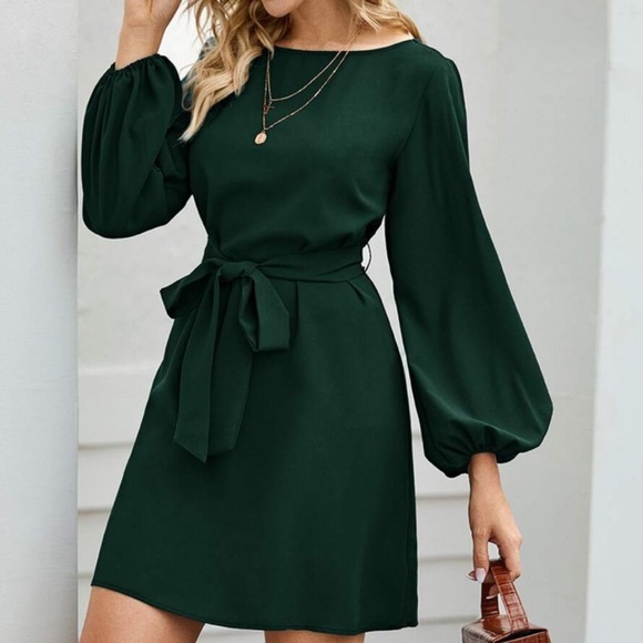 Blue long lantern sleeve belted dress - Picture 2 of 16